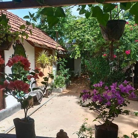 Mamisa Cafe, Home Stay ハバラナ エクステリア 写真
