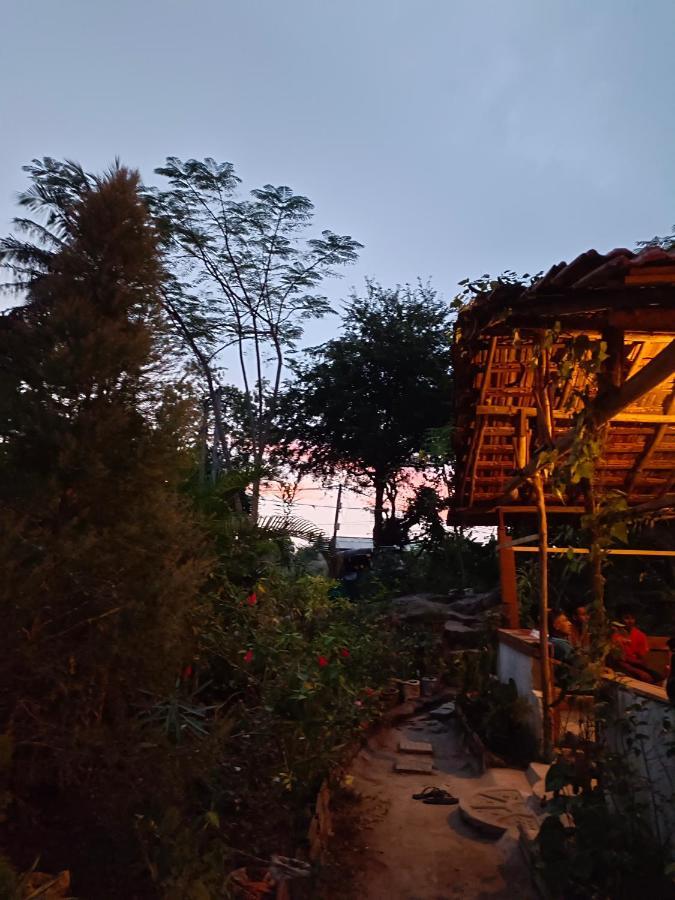 Mamisa Cafe, Home Stay ハバラナ エクステリア 写真